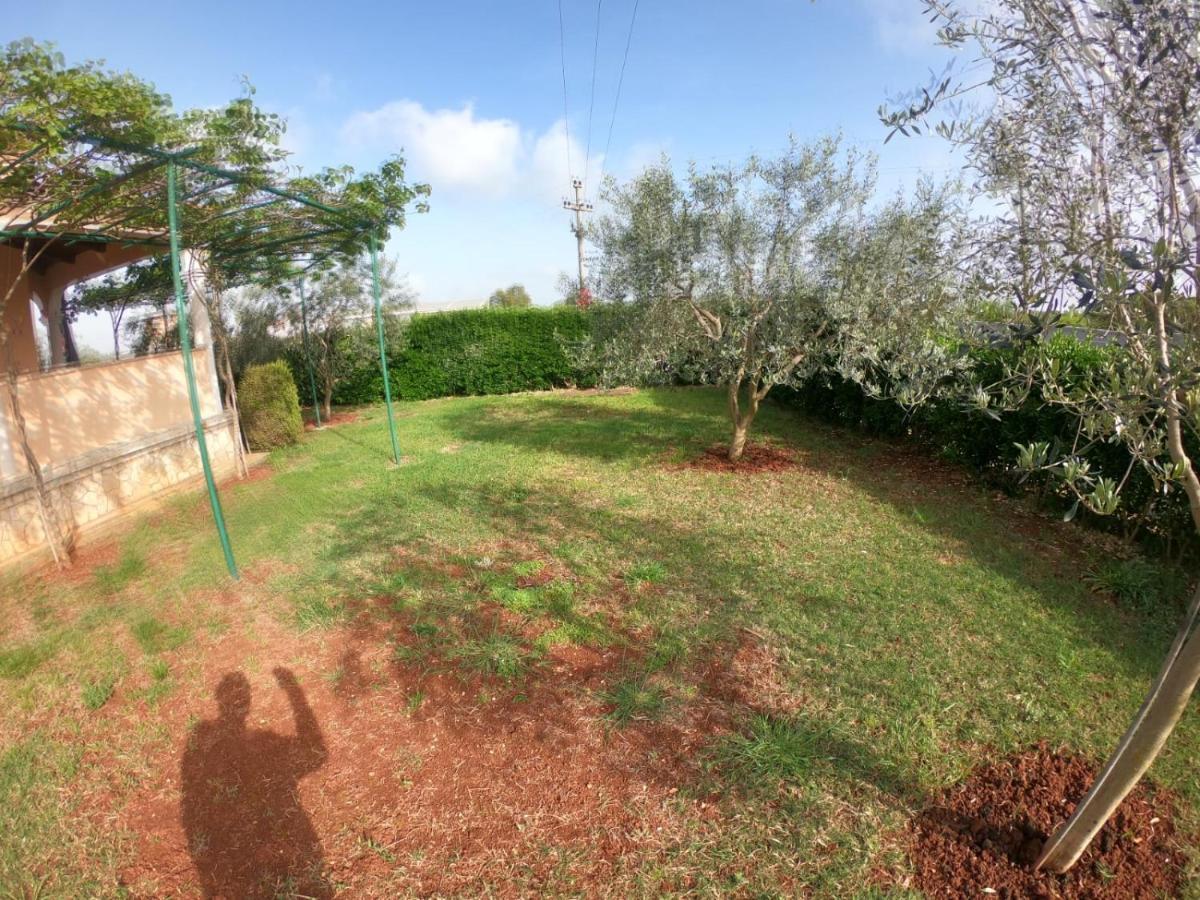 Spacious Apartment With Parking&Garden Marčana Zewnętrze zdjęcie