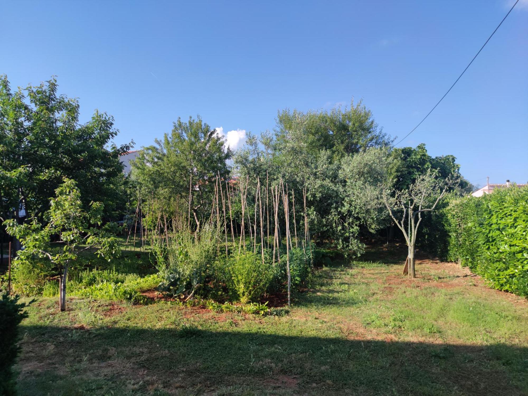 Spacious Apartment With Parking&Garden Marčana Pokój zdjęcie